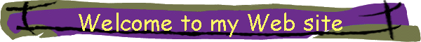 Welcome to my Web site